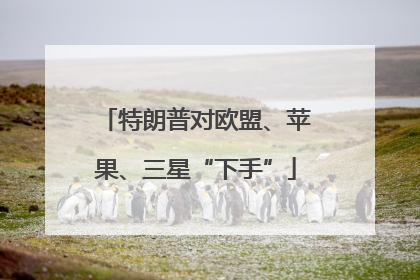 特朗普对欧盟、苹果、三星“下手”