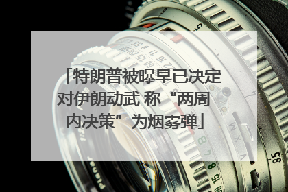 特朗普被曝早已决定对伊朗动武 称“两周内决策”为烟雾弹