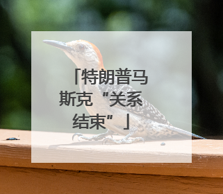 特朗普马斯克“关系结束”