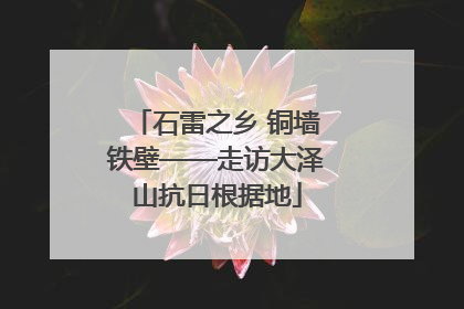 石雷之乡 铜墙铁壁——走访大泽山抗日根据地