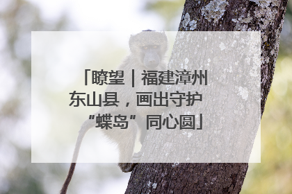 瞭望｜福建漳州东山县，画出守护“蝶岛”同心圆