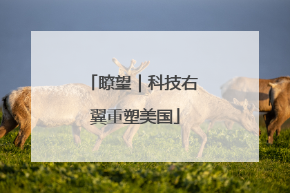 瞭望｜科技右翼重塑美国