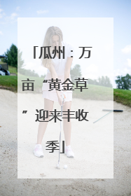 瓜州：万亩“黄金草”迎来丰收季