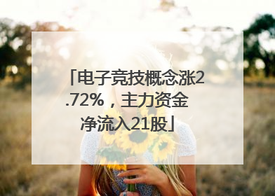 电子竞技概念涨2.72%，主力资金净流入21股
