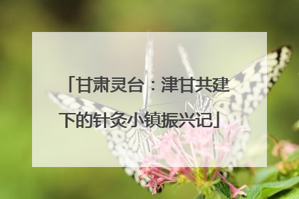 甘肃灵台：津甘共建下的针灸小镇振兴记
