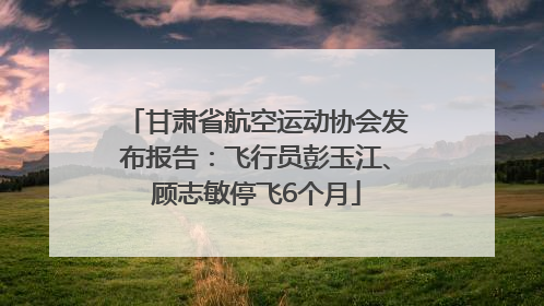 甘肃省航空运动协会发布报告：飞行员彭玉江、顾志敏停飞6个月