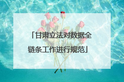 甘肃立法对数据全链条工作进行规范