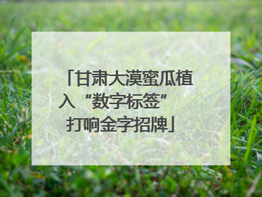 甘肃大漠蜜瓜植入“数字标签” 打响金字招牌