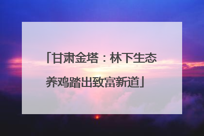 甘肃金塔：林下生态养鸡踏出致富新道
