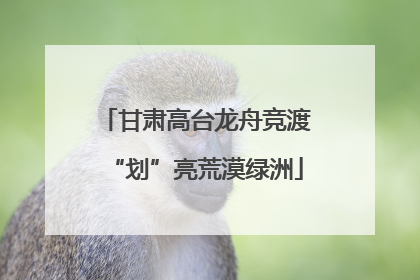 甘肃高台龙舟竞渡“划”亮荒漠绿洲