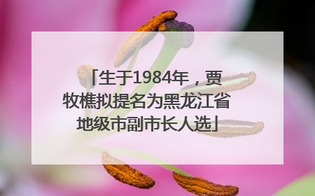 生于1984年，贾牧樵拟提名为黑龙江省地级市副市长人选