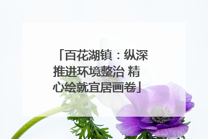 百花湖镇：纵深推进环境整治 精心绘就宜居画卷