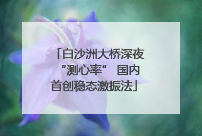 白沙洲大桥深夜“测心率” 国内首创稳态激振法