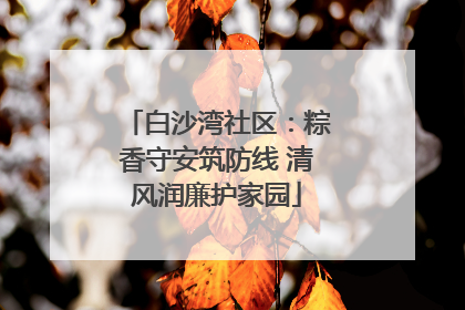 白沙湾社区：粽香守安筑防线 清风润廉护家园