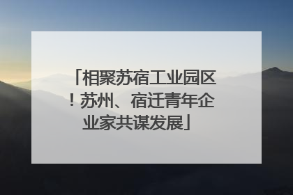 相聚苏宿工业园区！苏州、宿迁青年企业家共谋发展