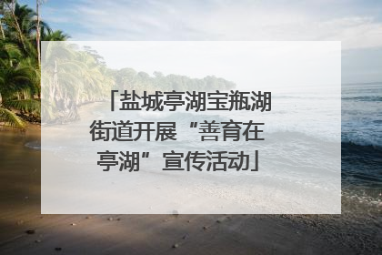 盐城亭湖宝瓶湖街道开展“善育在亭湖”宣传活动