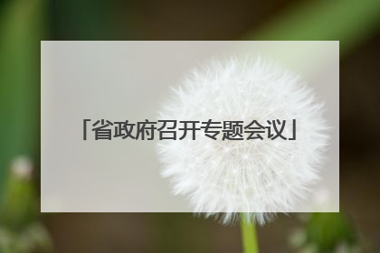 省政府召开专题会议