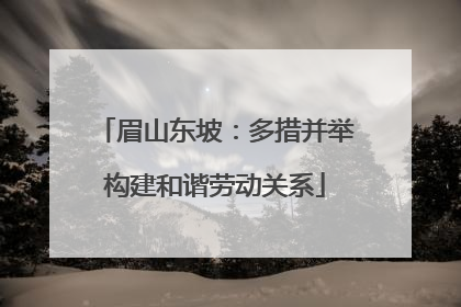 眉山东坡：多措并举构建和谐劳动关系