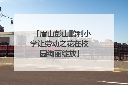 眉山彭山鹏利小学让劳动之花在校园绚丽绽放