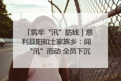 筑牢“汛”防线｜慈利县阳和土家族乡：闻“汛”而动 全员下沉筑牢防汛“安全堤”