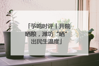 筝鸣时评丨开院晒粮，潍坊“晒”出民生温度