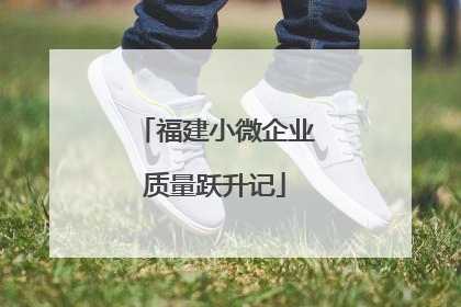 福建小微企业质量跃升记