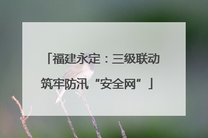 福建永定：三级联动筑牢防汛“安全网”