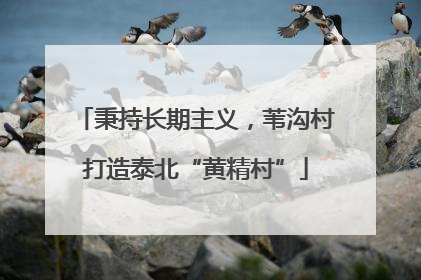 秉持长期主义，苇沟村打造泰北“黄精村”