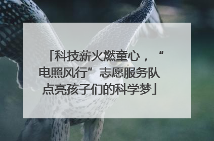 科技薪火燃童心，“电照风行”志愿服务队点亮孩子们的科学梦