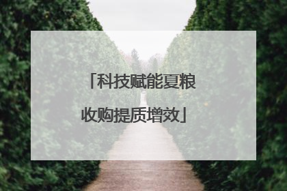 科技赋能夏粮收购提质增效