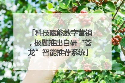 科技赋能数字营销，极融推出自研“苍龙”智能推荐系统