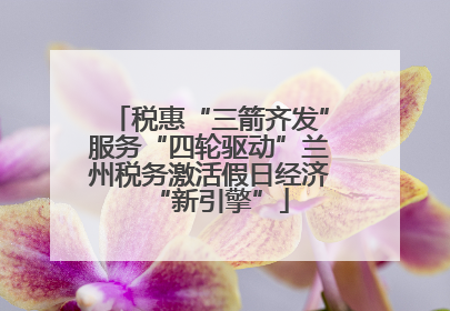 税惠“三箭齐发”服务“四轮驱动”兰州税务激活假日经济“新引擎”