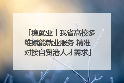 稳就业丨我省高校多维赋能就业服务 精准对接自贸港人才需求