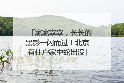 窸窸窣窣，长长的黑影一闪而过！北京有住户家中蛇出没