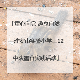 童心向党 趣享自然——淮安市实验小学二12中队露营实践活动