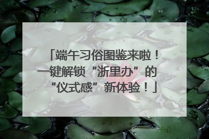 端午习俗图鉴来啦！一键解锁“浙里办”的“仪式感”新体验！