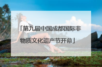 第九届中国成都国际非物质文化遗产节开幕