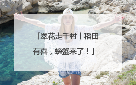 翠花走千村丨稻田有喜，螃蟹来了！