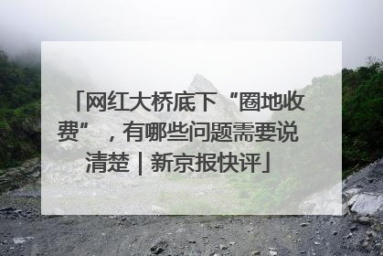 网红大桥底下“圈地收费”，有哪些问题需要说清楚｜新京报快评