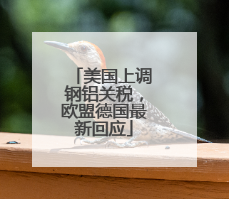 美国上调钢铝关税，欧盟德国最新回应