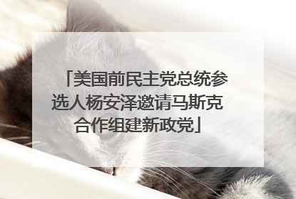 美国前民主党总统参选人杨安泽邀请马斯克合作组建新政党