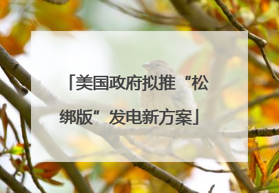 美国政府拟推“松绑版”发电新方案