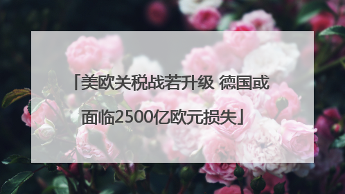 美欧关税战若升级 德国或面临2500亿欧元损失