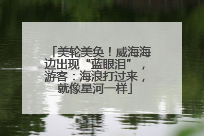 美轮美奂！威海海边出现“蓝眼泪”，游客：海浪打过来，就像星河一样