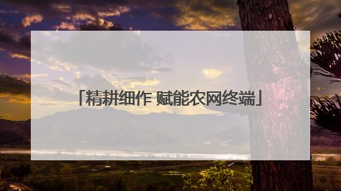 精耕细作 赋能农网终端
