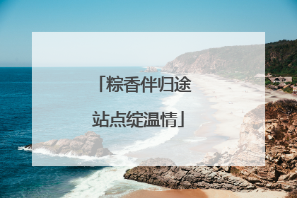 粽香伴归途 站点绽温情
