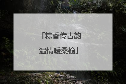 粽香传古韵 温情暖桑榆