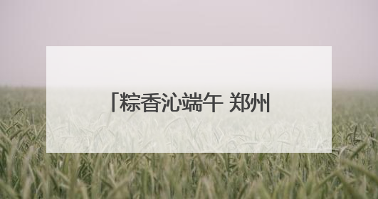 粽香沁端午 郑州城管多措并举保障城市运行平稳有序