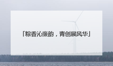 粽香沁廉韵，青创展风华