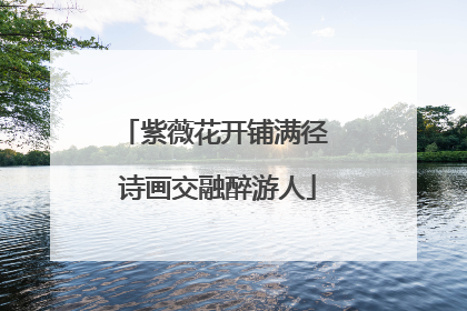 紫薇花开铺满径 诗画交融醉游人